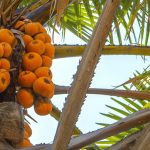 Ways of Improving the Nigerian Economy