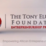 Tony Elumelu Entrepreneurship Foundation