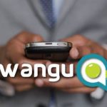 Wangu, Farai Mundangepfupfu, Zimbabwe