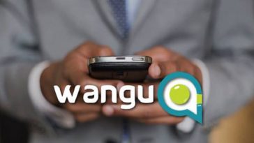 Wangu, Farai Mundangepfupfu, Zimbabwe