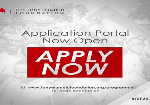 Tony Elumelu Foundation, TEF, Knight Ganje, Shima Kealopa ,