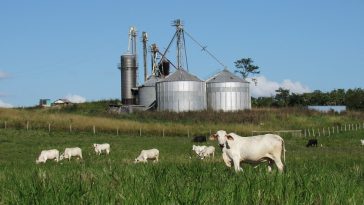 Alosfarm, NIgeria, Farming,