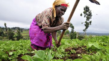 Ghana, Africa Agribusiness Incubators Network, Minister of Youth and Sports (MOYS), CFTC, Canadian Feed The Children (CFTC),