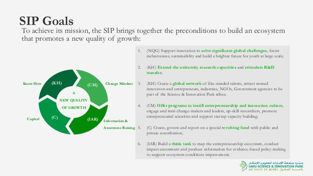 Science and Innovation Park, Egypt, Sarah Nasser