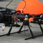 William Elong, Will & Brother