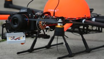 William Elong, Will & Brother