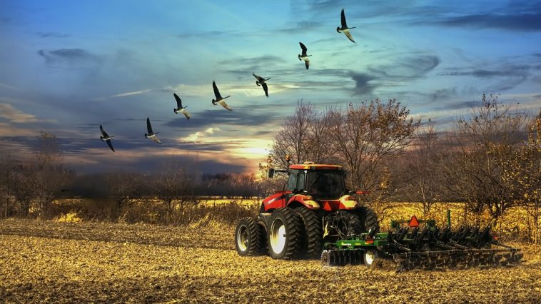 Zenvus, M-Fam, Ujuzikilimo, Sokopepe, Farmerline, AgroCenta, Farmdrive