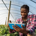 Wala startup in South Africa