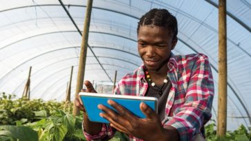 Wala startup in South Africa