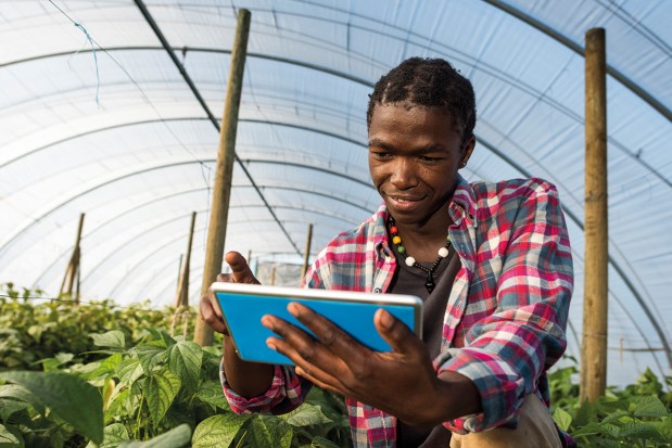 Wala startup in South Africa