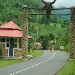 Alosab startup, Nigeria