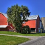 Digital agriculture in Africa