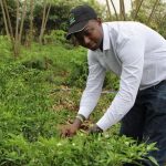 Dieudonne Twahirwa, Founder of Gashora Farm