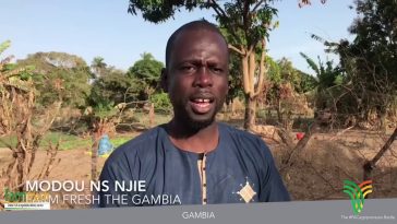 Modou NSZ N'jie, CEO of Farm Fresh Gambia