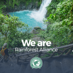 The Rainforest Alliance