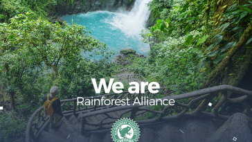 The Rainforest Alliance