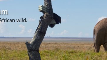 Africam Drives Global Awareness Through Live Streams