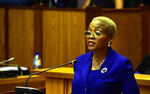 Communications Deputy Minister, Pinky Kekana