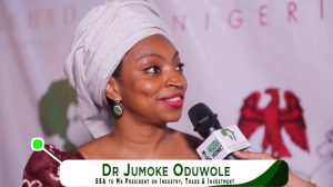 Dr. Jumoke Oduwole, the Senior Special Assistant to the President on Industries, Trade, and Investment