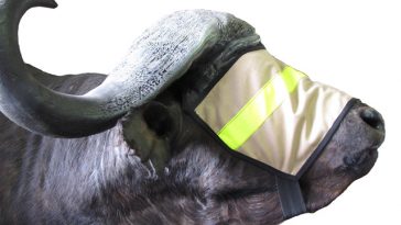 Pam Curtis, A Proudly South African Woman Who Runs a Wildlife Business