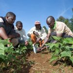 Kenya is Africa's Leading Country in AgriTech - the CTA