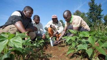 Kenya is Africa's Leading Country in AgriTech - the CTA