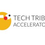 The TechTribe Accelerator An Online Training for African Entrepreneurs in SADC Region