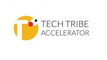 The TechTribe Accelerator An Online Training for African Entrepreneurs in SADC Region