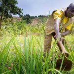 Village Capital’s Agriculture Africa 2019 Selects Nine Startups to Join the Program