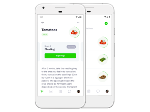 FarmSmart in Partnership with UK's Amido Launches a New Mobile App to Help Kenyan Farmers Thrive