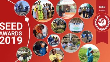 11 African Startups Among the Winners of 2019 Seed Awards