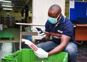 jumia launches ecommerce website in south africa