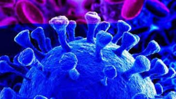 Covid-19 impacting African startups