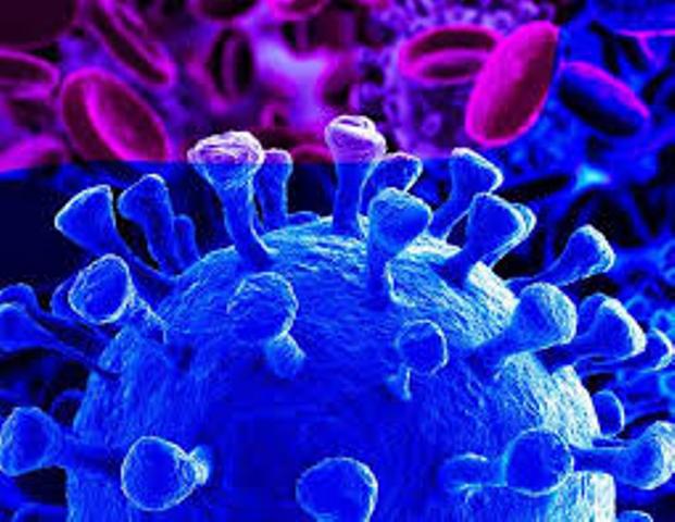 Covid-19 impacting African startups