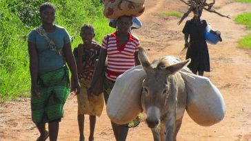 partnership will benefit mozambique citizens in the rural