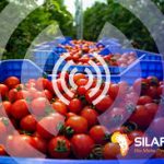 silafrica smart crate