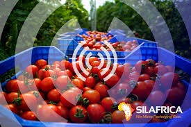 silafrica smart crate