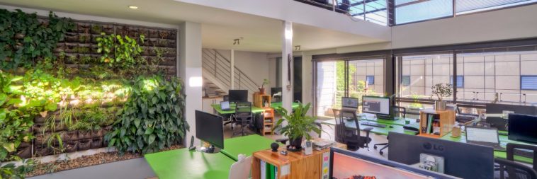 GreenED image workplace