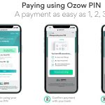 OzowPIN