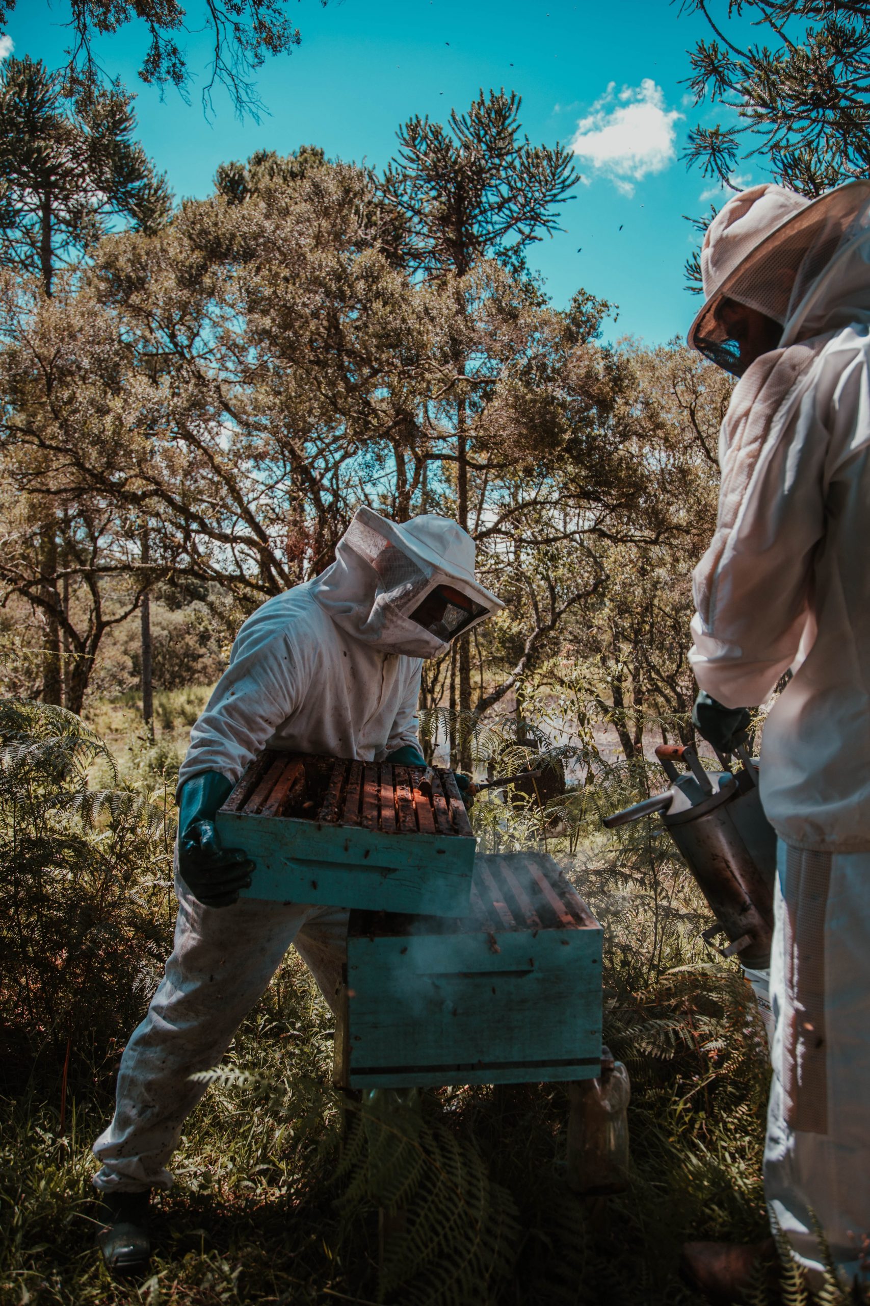 Beekeeper Tech is excited to announce that it has raised $640.000 in a ...