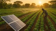 Top 7 Solar Irrigation Startups in Africa