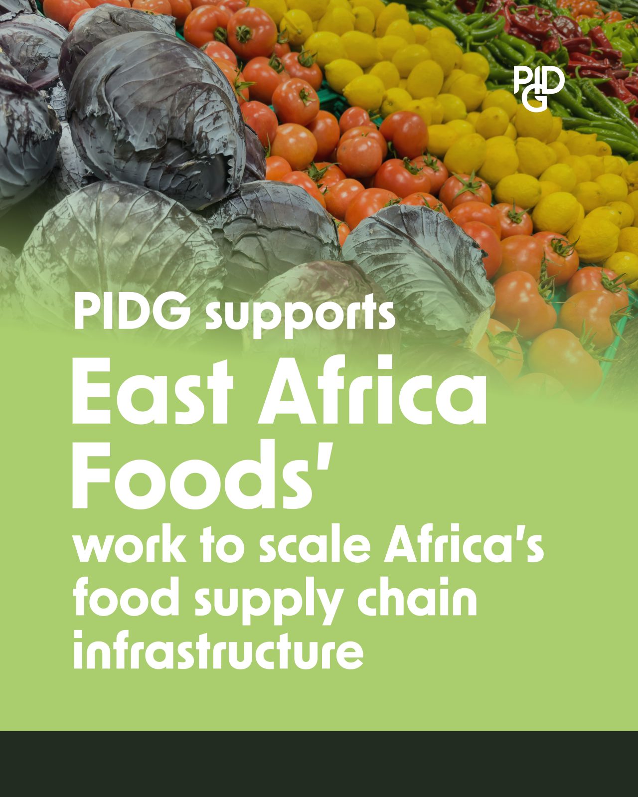 PIDG’s InfraCo leads $26m Series B in Tanzania’s East Africa Foods